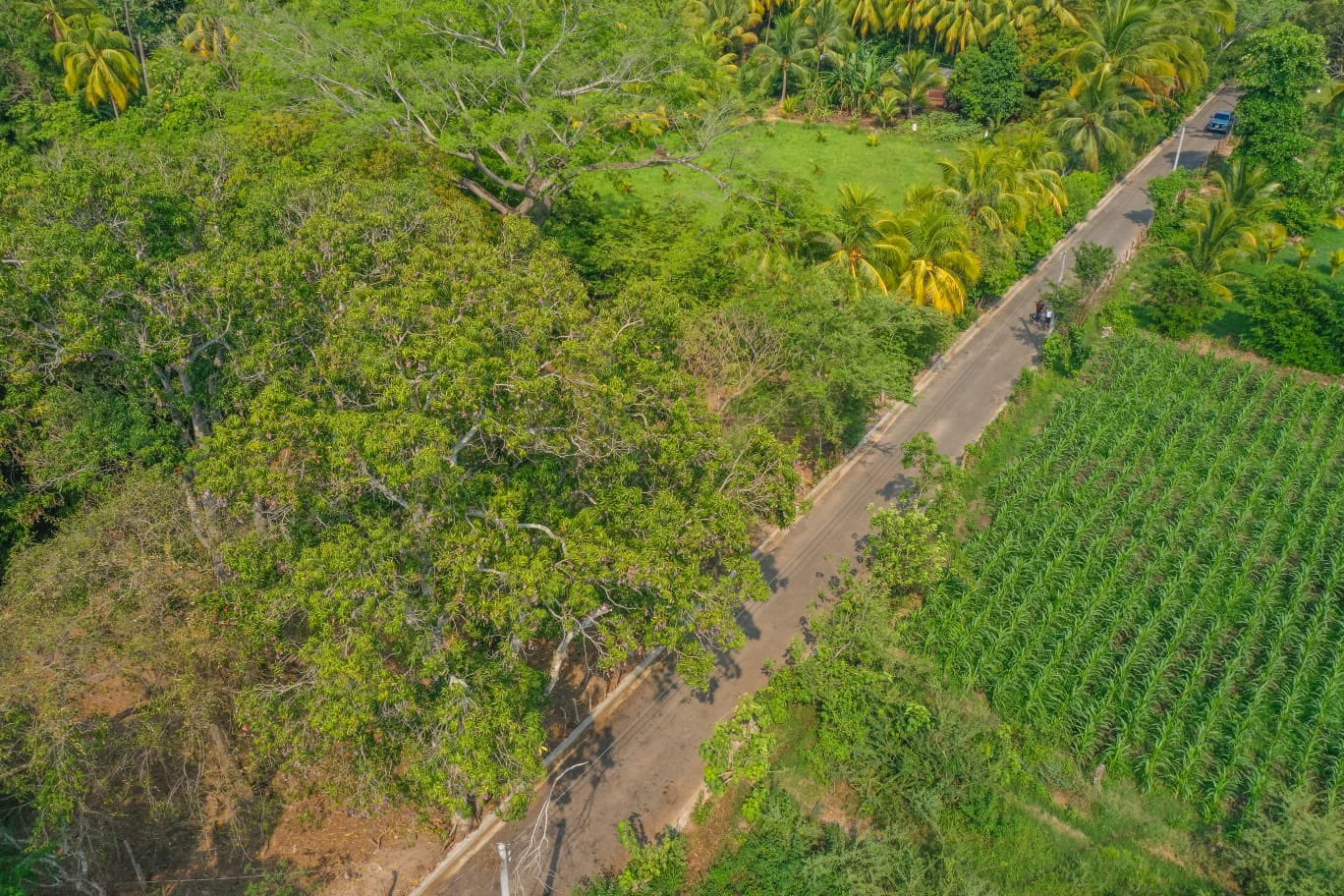 DOM beneficia a más de 9 mil personas con mejoramiento de calle rural de Caluco